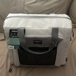 Igloo cooler bag