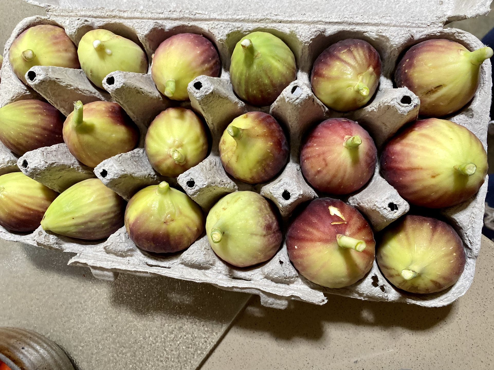 fresh figs for Sale in Tucson, AZ OfferUp