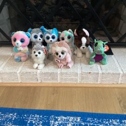 Beanie Boo Collection