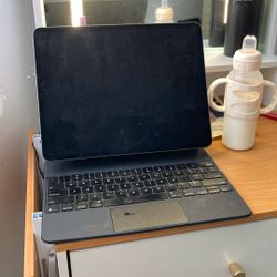 iPad 
