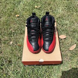 Jordan 12 Flu Game