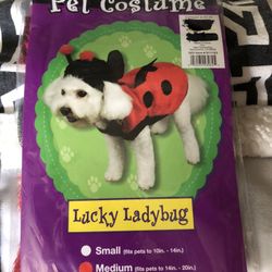 **Reduced.!!**Lady Bug Doggy Costume  Size Med. NEW