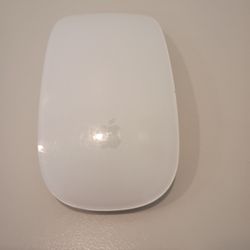 Apple Mouse AA Batteries 