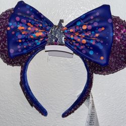 Brand New Disney Ears