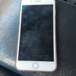Apple 8+