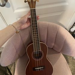 Lanikai LU22CGC Concert Ukulele Natural