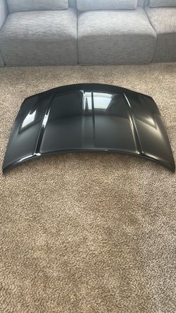 2015-2025 Dodge Charger SXT / SE / GT HOOD