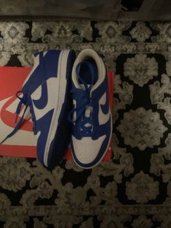 Brand new Blue nike dunks