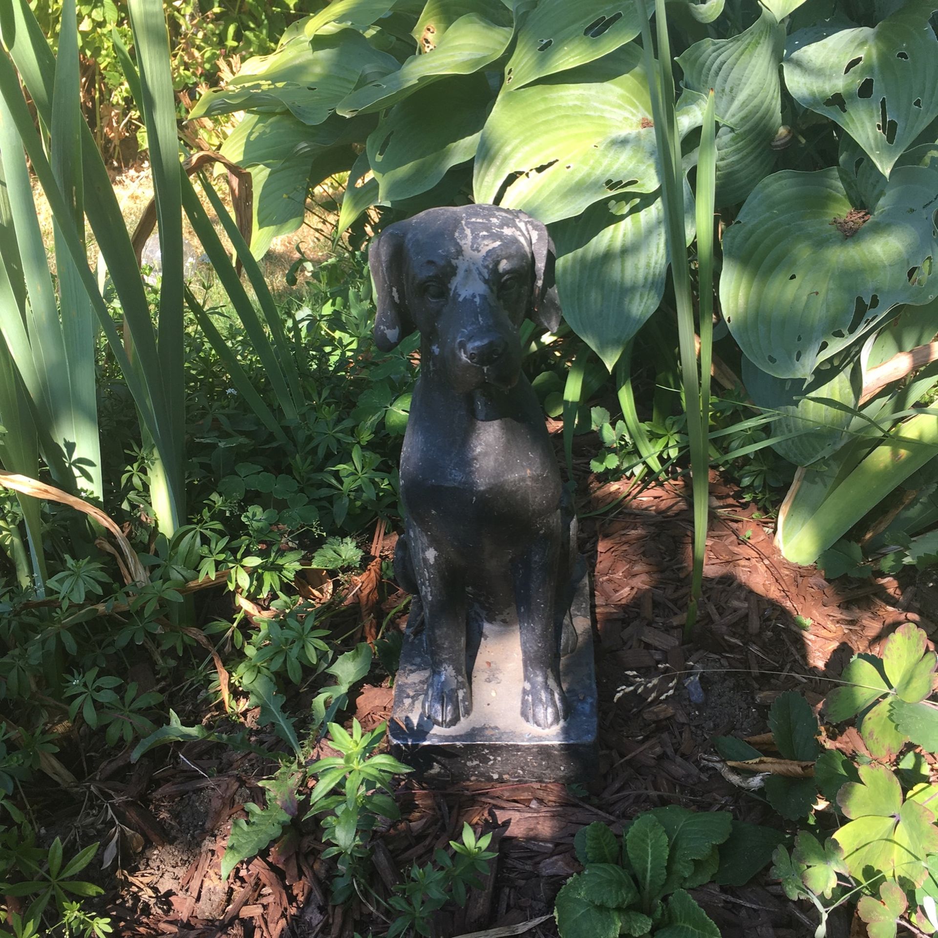 Small Dog Statue for Sale in Orting, WA OfferUp