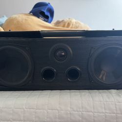 Bowers and Wilkins DM600 IFS