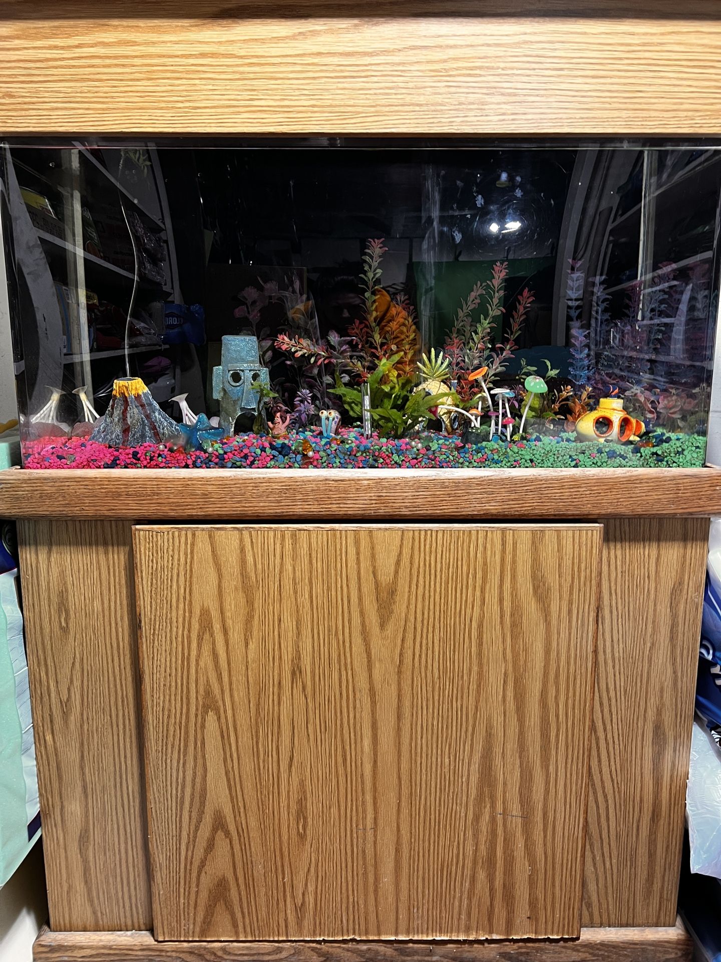 Giant Fish Tank