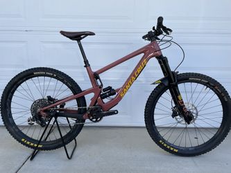 Santa Cruz Bronson