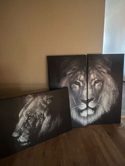 Lion Pictures