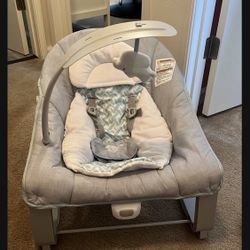 3 In 1 Baby Ingenuity Seat