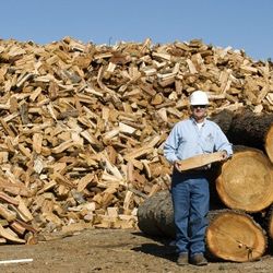 Firewood 