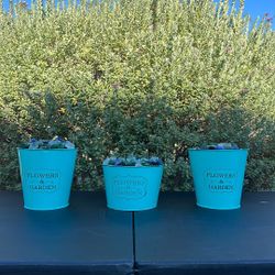 3 Flowers Metal Teal Pots With Soil And Decorative Glass - Used In A Great Condition