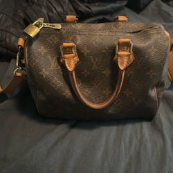 Louis Vuitton Speedy 30 Cross Body  