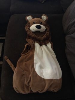 Lion costume