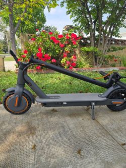 electric scooter