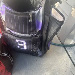 Softball Catchers Bag