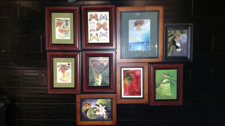 Multi style Photo Frames