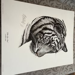 White Tiger by Guy Coheleach