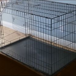 XL DOG CAFE/ TRAVEL / Collapses 