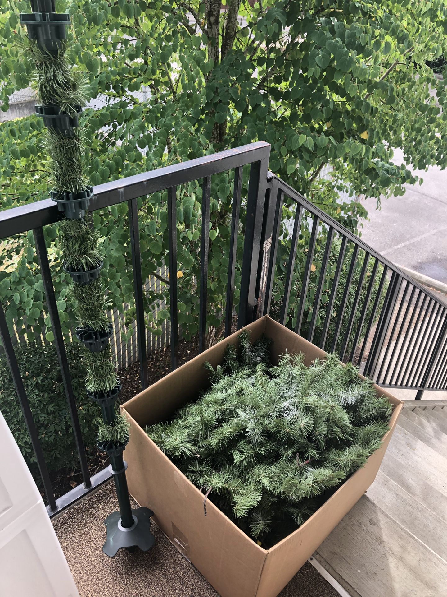 Free Christmas Tree