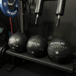 Rogue Medicine Balls