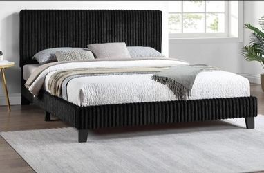 New Black Corduroy Upholstered Platform