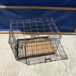 Dog Kennel