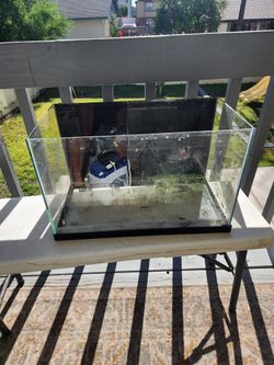 10 G Rimless Fish Tank