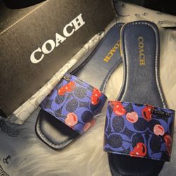 Coach Sandals 👡 