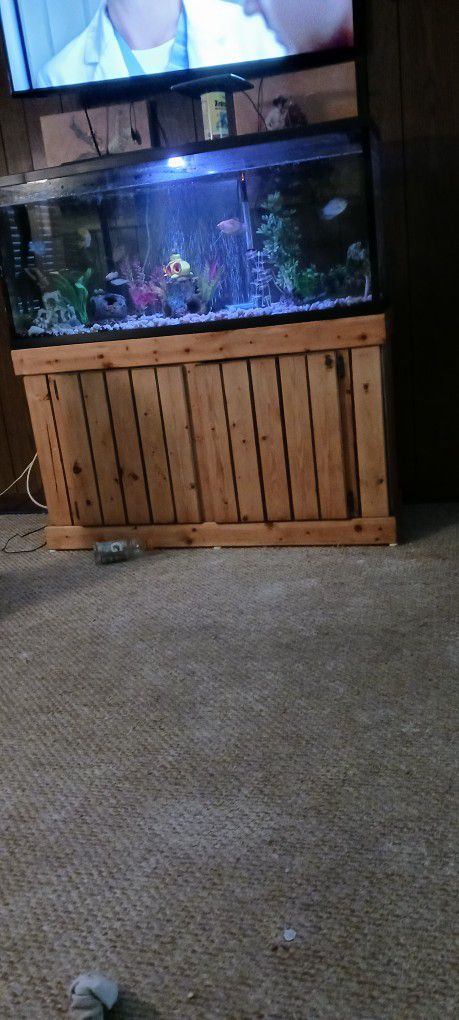 55 Gallon Tank And Stand