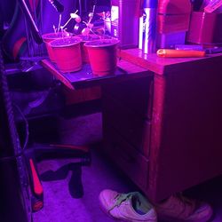 Grow Lights