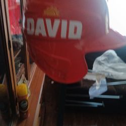 David Sun Flower Seeds Display Rack New