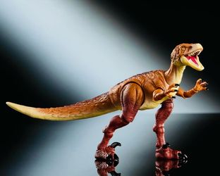 Hammond collection ornitholestes