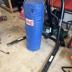 Everlast Punching Bag With Stand