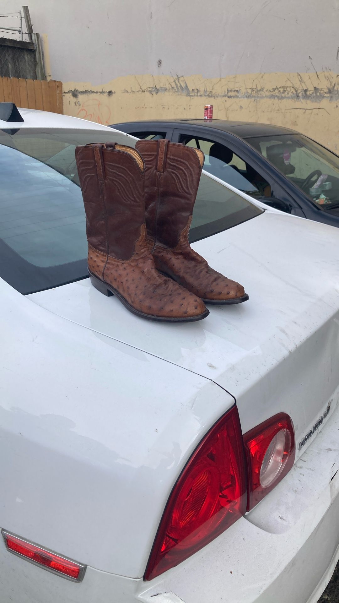 Ostrich Skin Boots 9.5