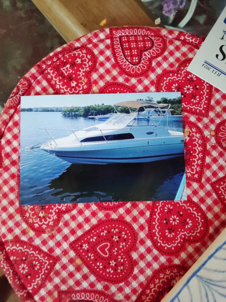 2002 Bayliner Circa