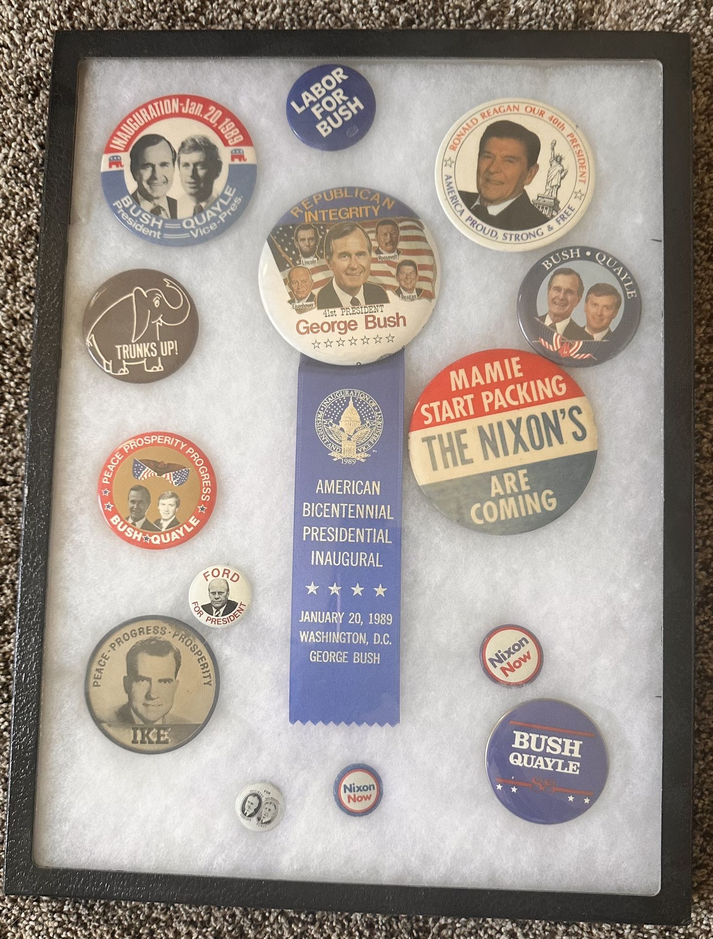 Political Pins