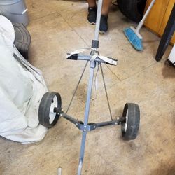 Golf Club Carrier 