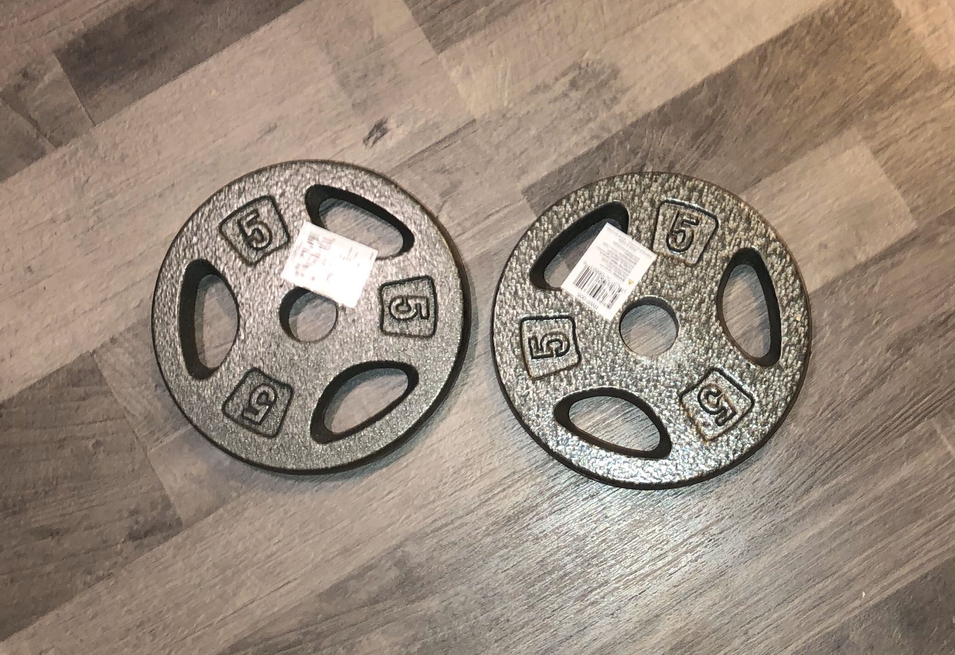 Pair of 5lb barbell plates (1”)