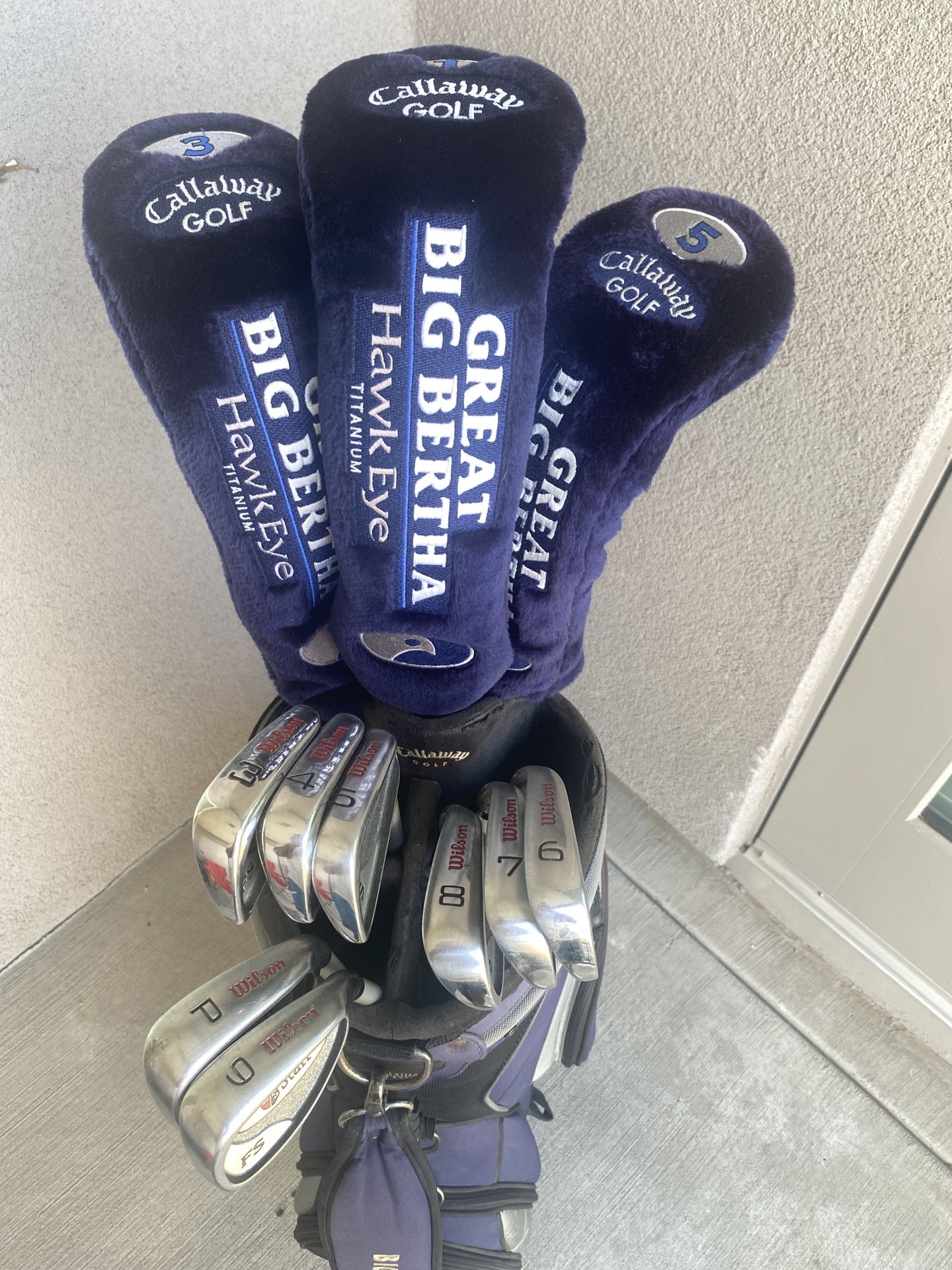 Golf Clubs w/ Bag