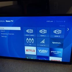 Insignia Roku TV 32 Inches
