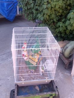 MAKE OFFERS BIRD CAGE INCLUDING EVERY THING INSIDE