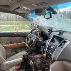 All Glass For cars And Trucks