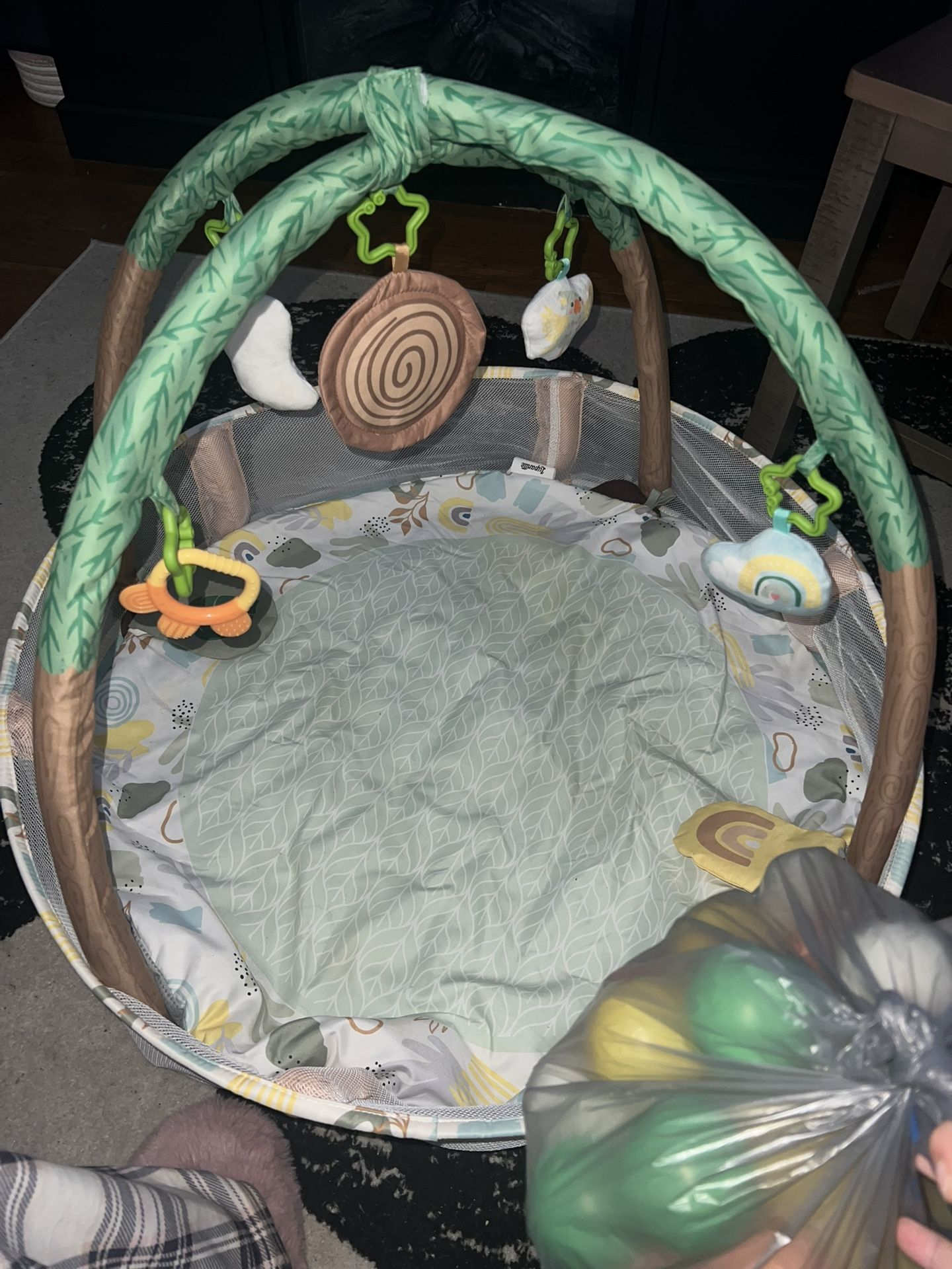 Baby Activity Gym/ball Pig