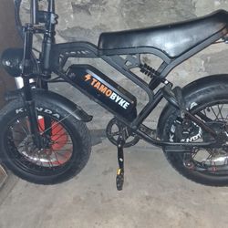 Electric Bike