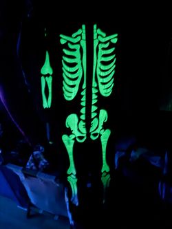 Skeleton